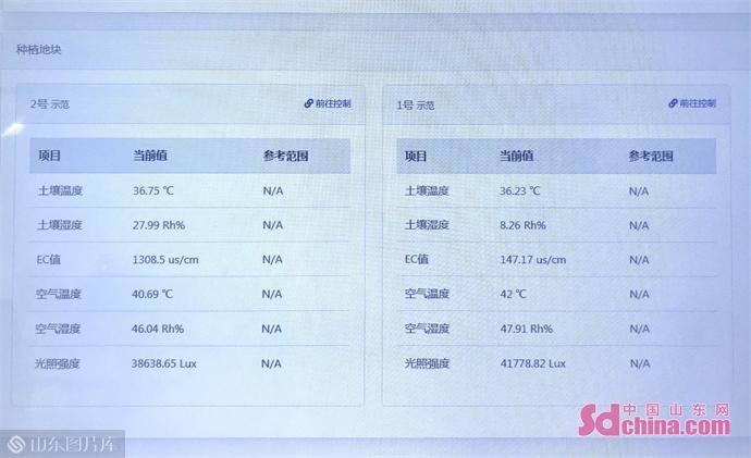 这就是淄博丨齐享智慧农业:“农舍云”实现全产业链数字化