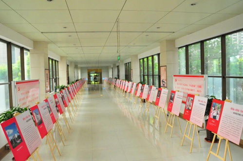 首批 张店标杆 公布,快看有你认识的吗