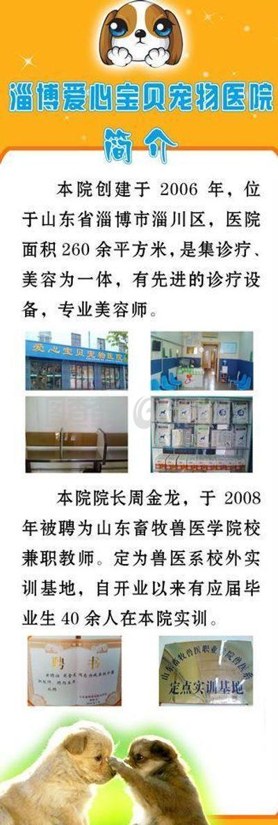 宠物医院展架图片