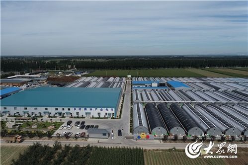 镇 兴路上 产业兴,特色浓,文旅融 淄博强镇出击