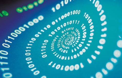 大银猿告诉你定制app的内幕