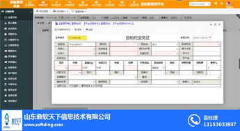 运输管理系统软件 淄博运输管理系统 鼎软天下信息技术公司