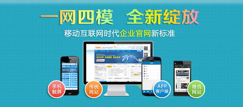 石家庄网络推广软件怎么样诚信企业