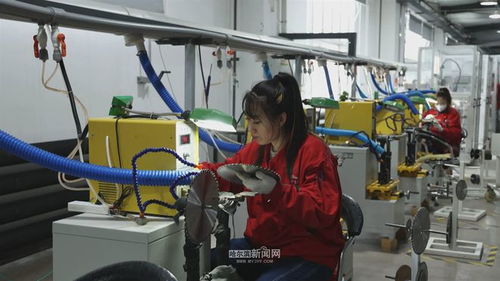 方正县 为客户 私人定制 新产品 弹射起步实现新春 开门红