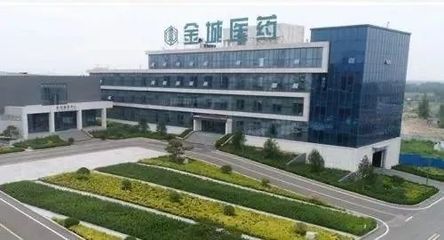 淄博“单项冠军”全景揭秘 软件设计产业如何铸造隐形冠军之路