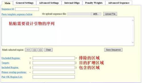 设计引物怕踩坑？这3款在线软件轻松扫雷——淄博软件设计指南