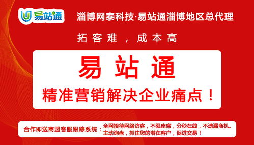 淄博全网推广软件 网泰科技赋能企业数字化营销新篇章